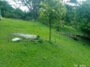 FINCA DE RECREO EN SAN JERONIMO ANTIOQUIA (San Jerónimo, Antioquia)